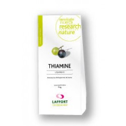 Hrana za kvasovke THIAMINE- 1 kg (vitamin B1)