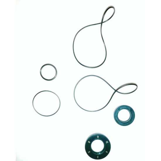 BCM set tesnil za Volumex 30 BCM set tesnil za Volumex 30
