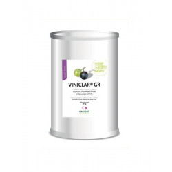 VINICLAR GR-P.- 1 kg (PVPP granuliran)